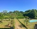 Gîte le Petit Vigneau 13 - Ménil