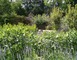 PARC DU CHATEAU DE CRAON 2 - Craon
