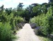 PARC DU CHATEAU DE CRAON 4 - Craon