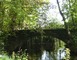 PARC DU CHATEAU DE CRAON 9 - Craon