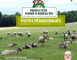 Visite de la ferme pédagogique - Villette en direct 1 - Gennes-Longuefuye