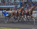Rdv de l'été : Visite de l'hippodrome de Meslay-du-Maine 1 - Meslay-du-Maine