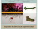 Exposition 