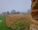 LA PAUSE BUCOLIQUE 19 - Ruillé-Froid-Fonds