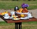 Hôtel le Parc Hôtel & Spa 6 - Château-Gontier-sur-Mayenne