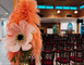 Le pavillon Jean-Louis Cousin 13 - Craon