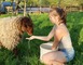 Camping à la ferme la Viotterie 13 - La Boissière