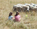 FERME PÉDAGOGIQUE VILLETTE EN DIRECT 2 - Gennes-Longuefuye