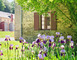 L'Orangerie du Château de Craon 16 - Craon