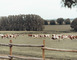 Ferme du Breil 4 - Ballots