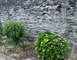 Gîte les Volets Bleus 23 - Château-Gontier-sur-Mayenne